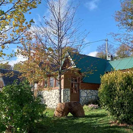 Family Farm Bungalow Žabljak Kültér fotó